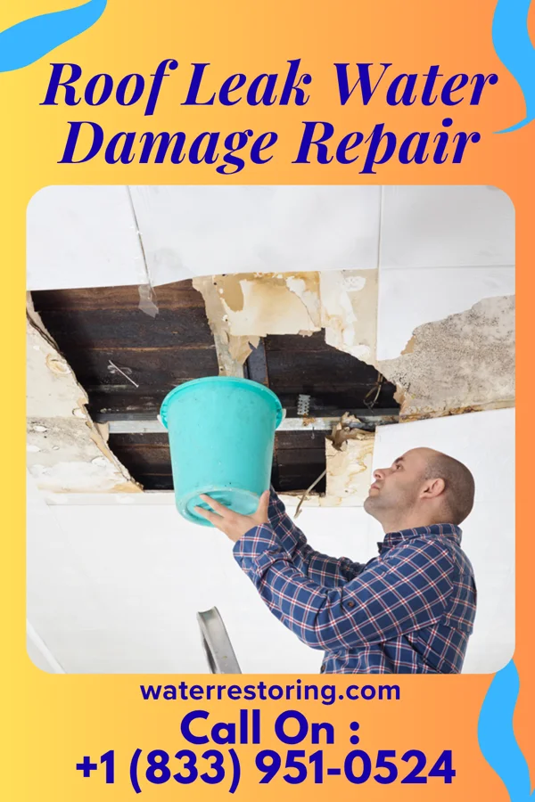Roof Leak Water Damage Repair in Walshville, IL